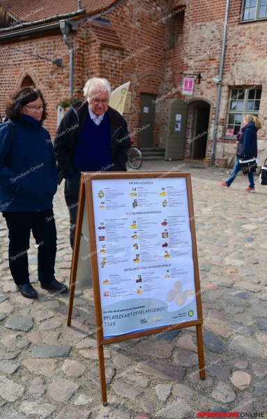 Storkow-Pflanzen-Borse-007