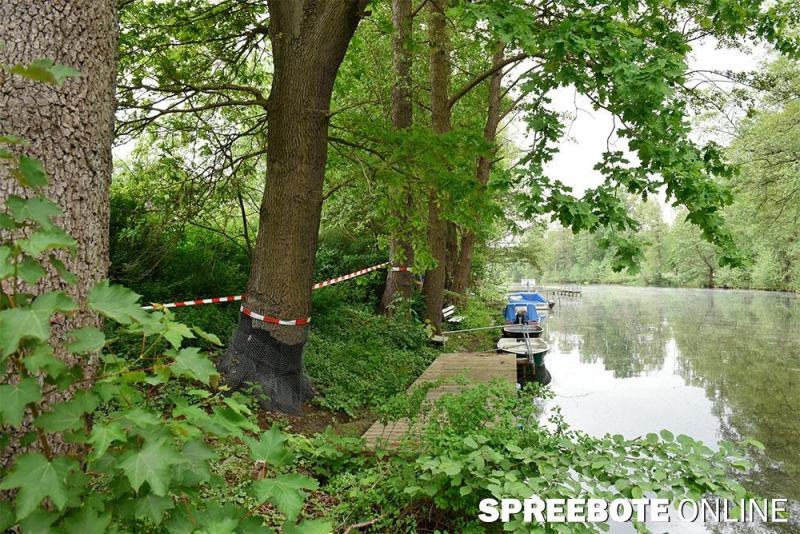 Streitberg-Abspann-4