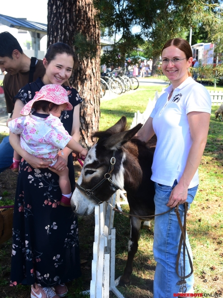 Tag-der-Offenen-Helios-005