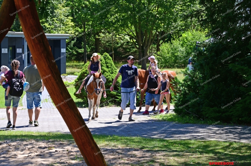 Tag-Off-Tur-Helios-024