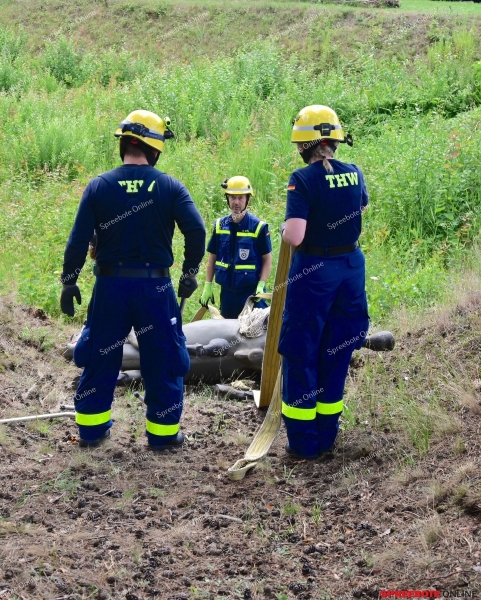 THW-Grosstierrettung-004