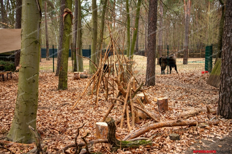 Spreebote-Tierparkfest-008