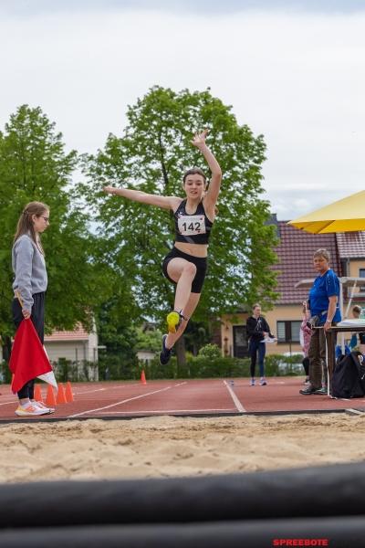 Titelverteidigung-Team-Gold-001