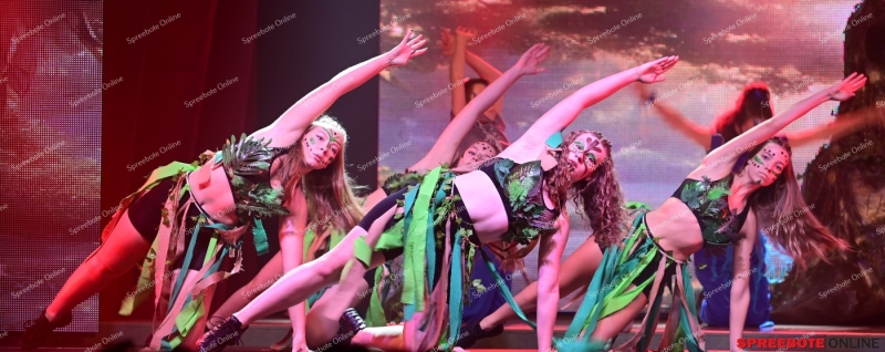 TK-Baum-des-Lebens-056