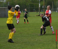 FSV-B-Juniorinnen-Brandenburger-SC-Sued-26