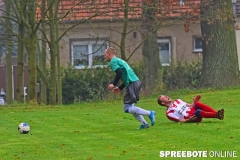 spreebote-Trebus-SpG-Rauen-Reichenw-164