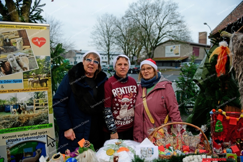 Spreebote-Trebuser-Adventsmarkt-002