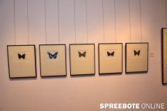 Vernissage-Wasser-Erde-Luft-3