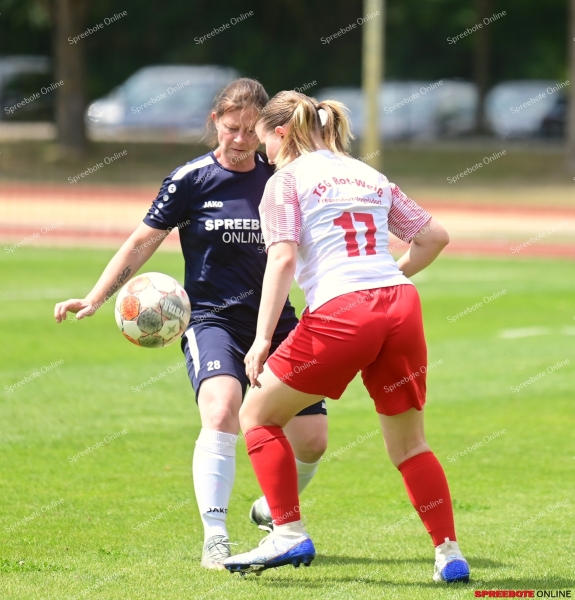 VfB-Frauen-Finale-Kreispokal-FredersdorfVogels-013
