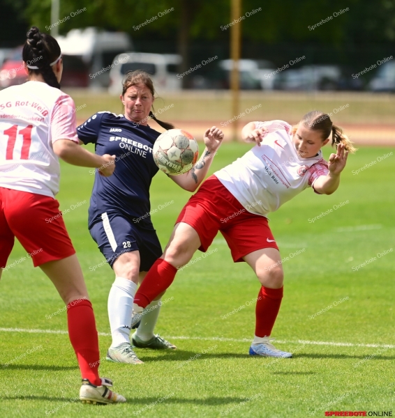 VfB-Frauen-Finale-Kreispokal-FredersdorfVogels-015