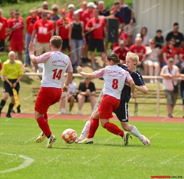 VfB-Frauen-Finale-Kreispokal-FredersdorfVogels-018