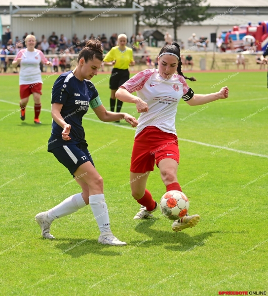 VfB-Frauen-Finale-Kreispokal-FredersdorfVogels-038