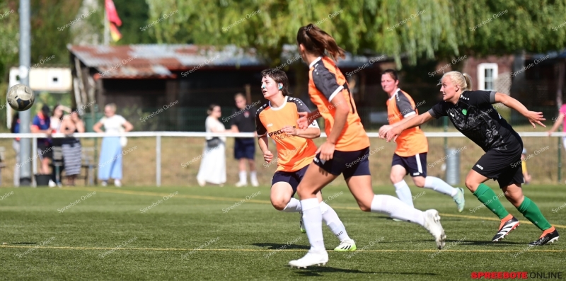 VfB-Frauen-Grun-Weiss-Ahrensfelde-Pokal-029
