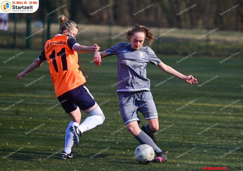 VfB-Frauen-SG-Beelitz-Landespokal-011