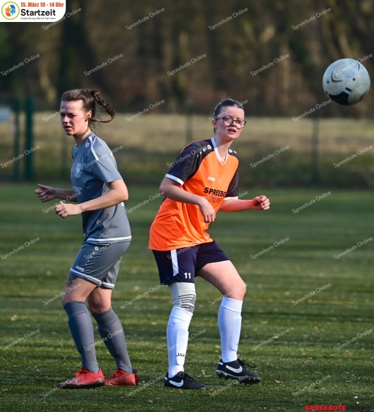 VfB-Frauen-SG-Beelitz-Landespokal-013