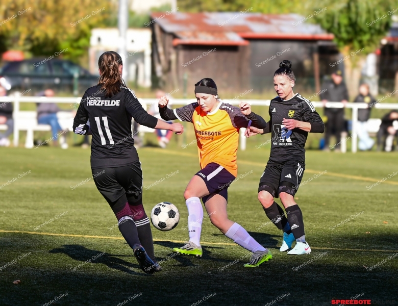 Spreebote-VfB-Frauen-SpG-HerzfeldeWoltersdorf-001