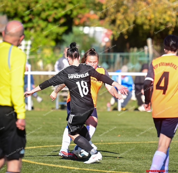Spreebote-VfB-Frauen-SpG-HerzfeldeWoltersdorf-002