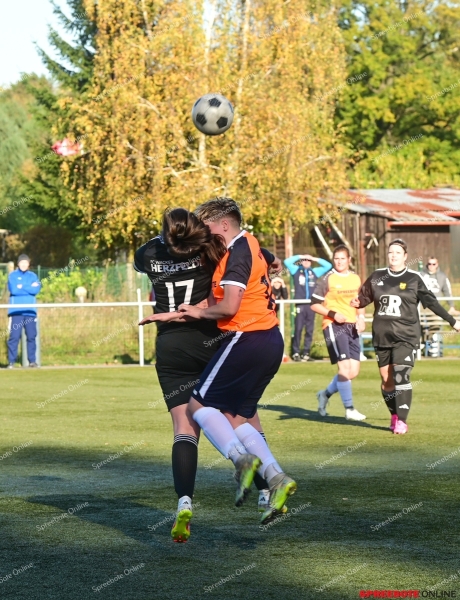 Spreebote-VfB-Frauen-SpG-HerzfeldeWoltersdorf-011