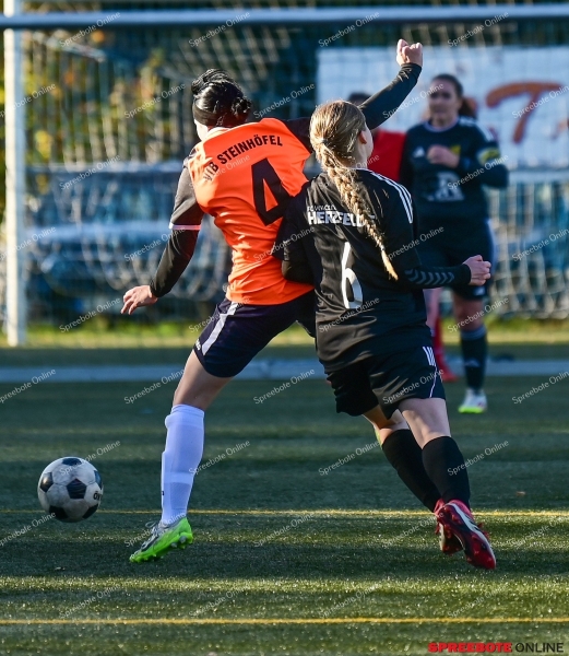 Spreebote-VfB-Frauen-SpG-HerzfeldeWoltersdorf-018