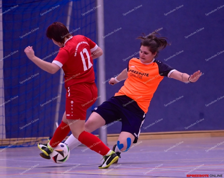 VfB-Frauen-Turnier-039