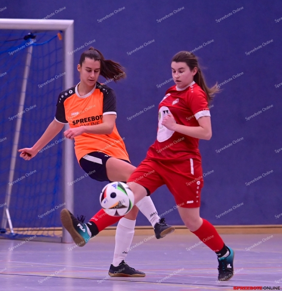 VfB-Frauen-Turnier-042