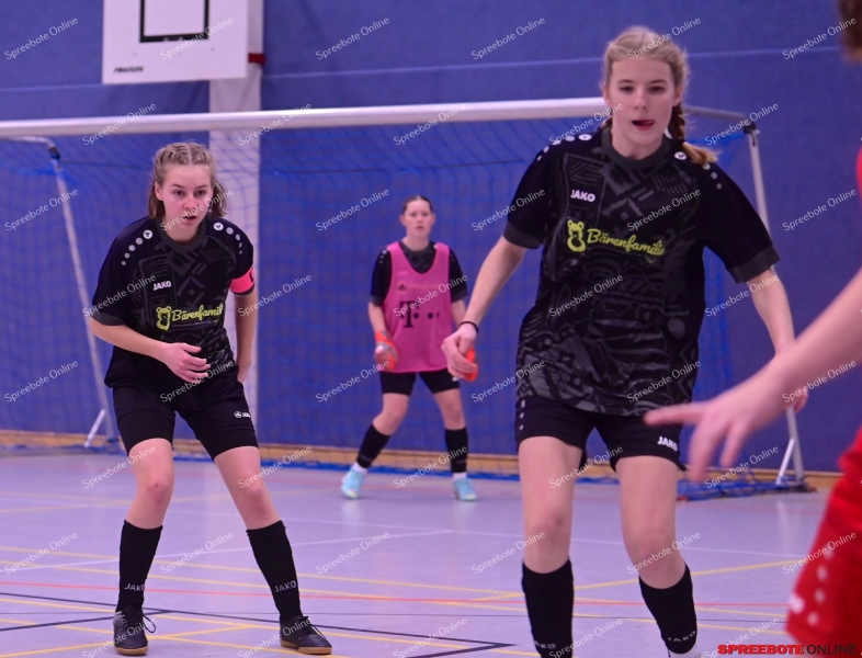 VfB-Frauen-Turnier-056