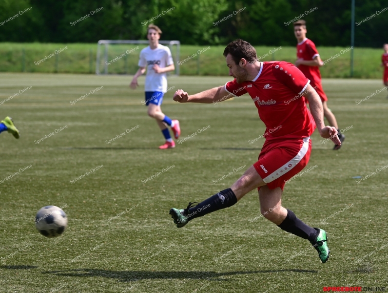 VfB-II-Pneumant-II-002