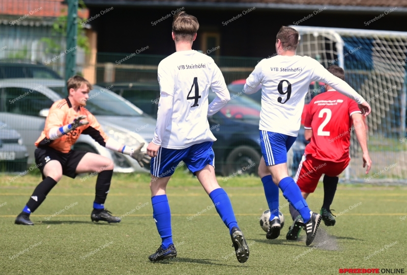 VfB-II-Pneumant-II-004