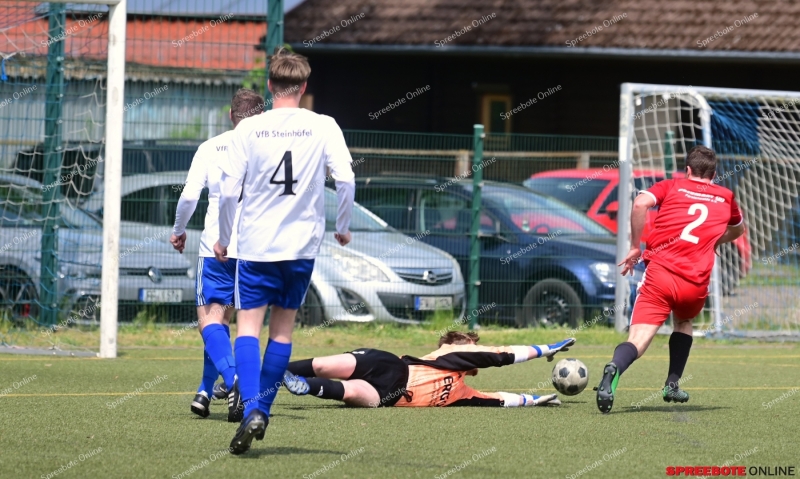 VfB-II-Pneumant-II-005