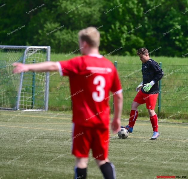 VfB-II-Pneumant-II-006