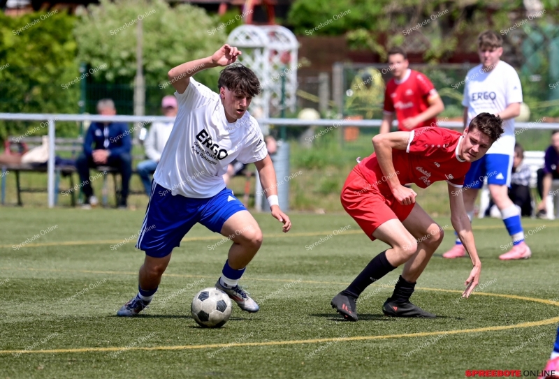 VfB-II-Pneumant-II-007