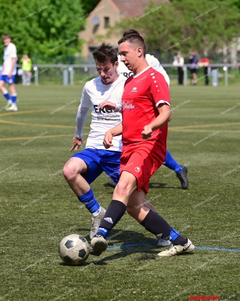 VfB-II-Pneumant-II-008