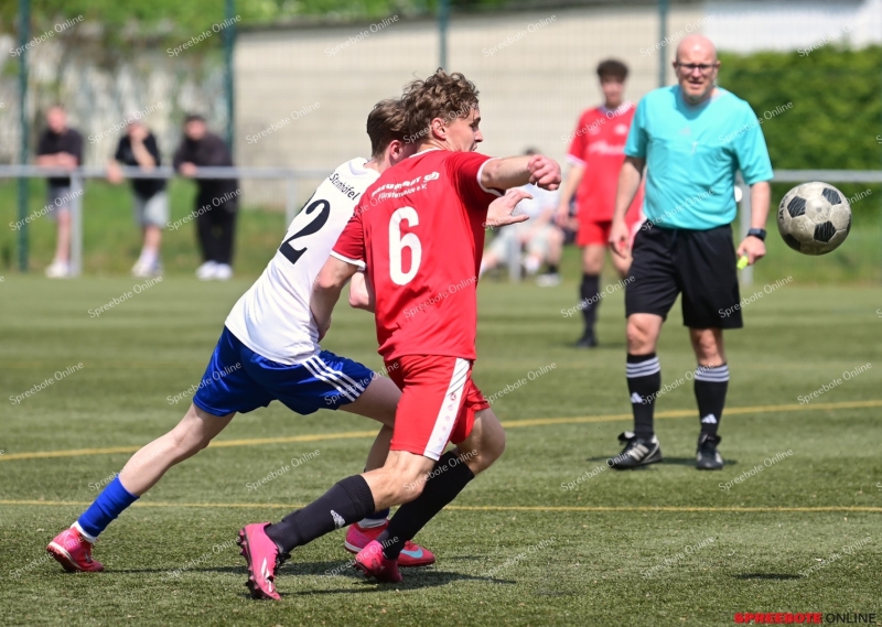 VfB-II-Pneumant-II-009