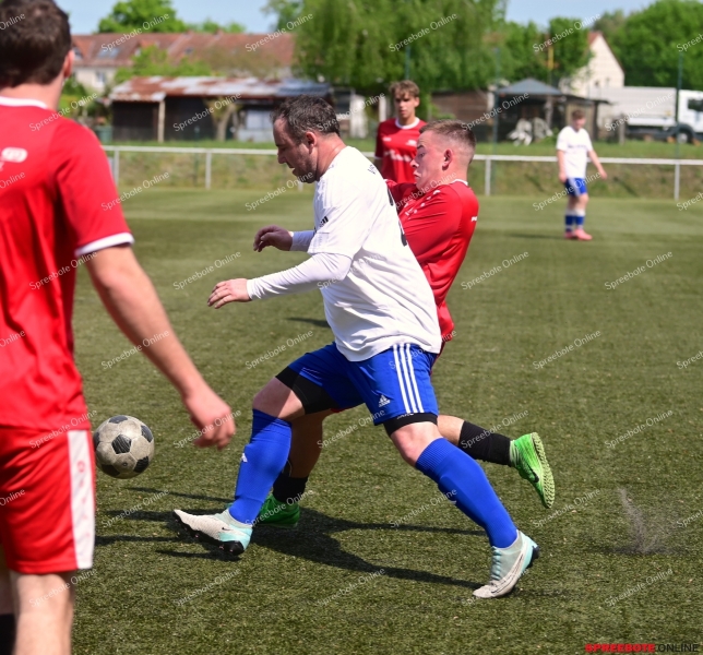 VfB-II-Pneumant-II-011