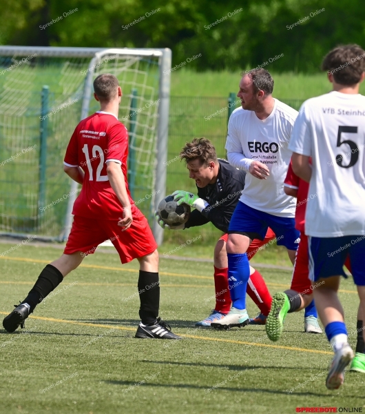 VfB-II-Pneumant-II-012