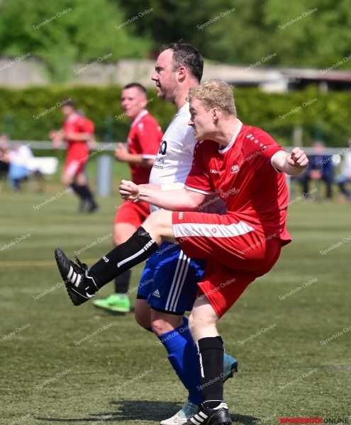 VfB-II-Pneumant-II-013