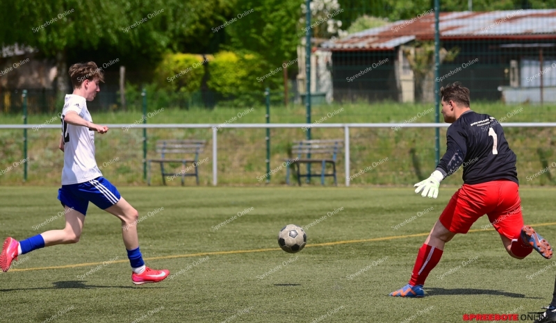 VfB-II-Pneumant-II-014