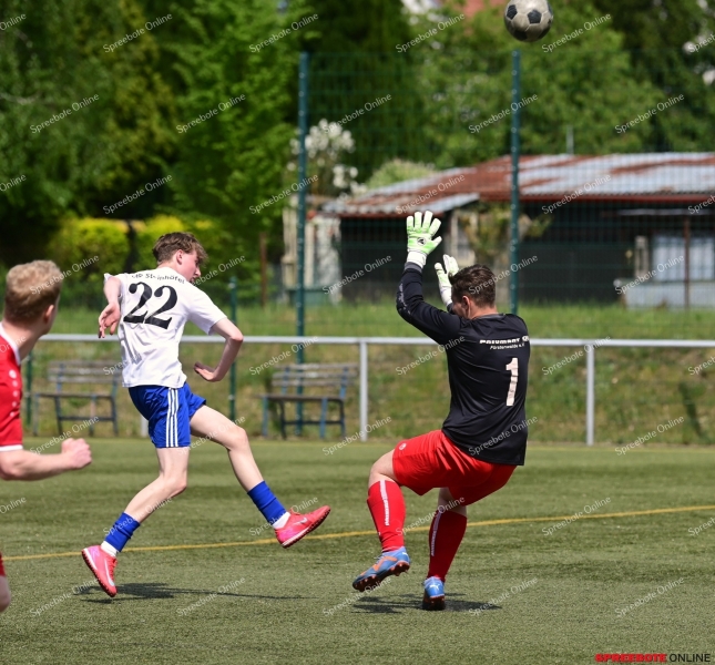 VfB-II-Pneumant-II-015