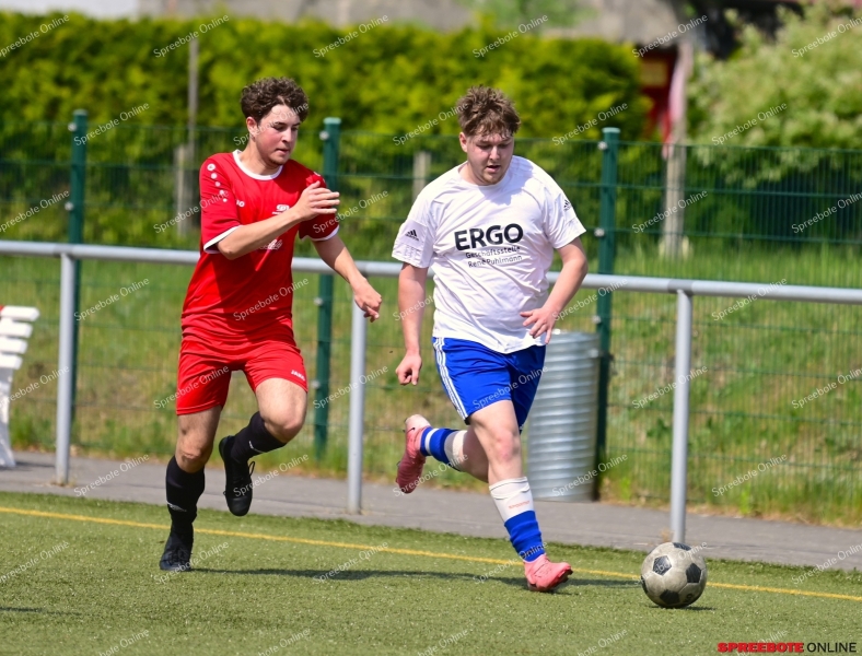 VfB-II-Pneumant-II-019