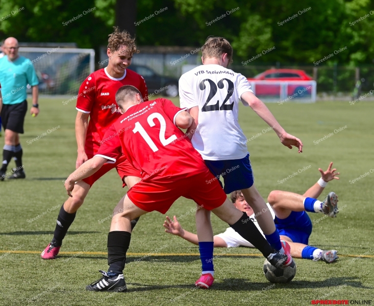 VfB-II-Pneumant-II-021