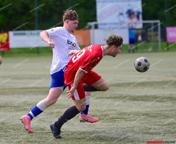 VfB-II-Pneumant-II-025