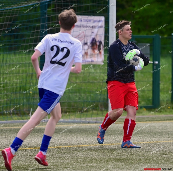 VfB-II-Pneumant-II-028