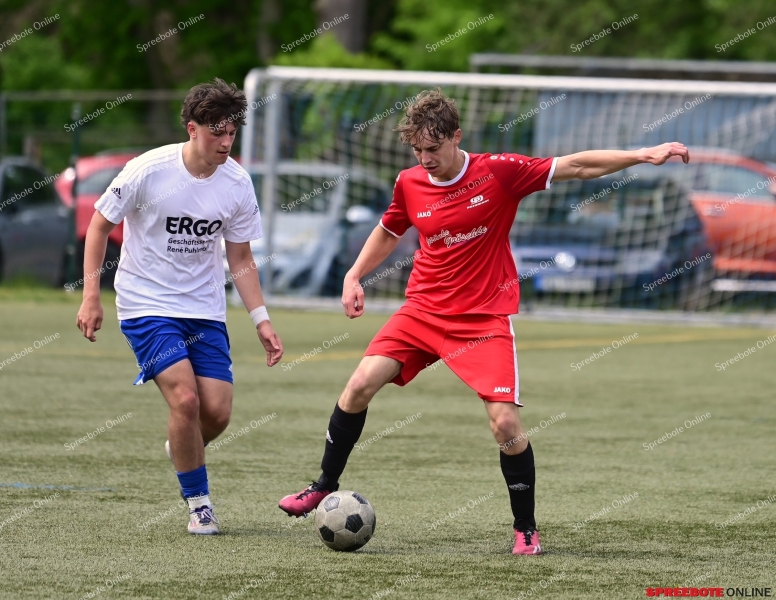 VfB-II-Pneumant-II-029