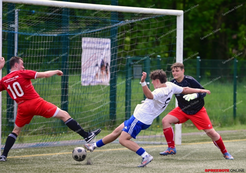 VfB-II-Pneumant-II-031