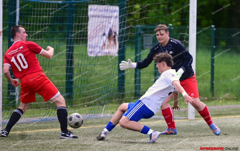 VfB-II-Pneumant-II-032