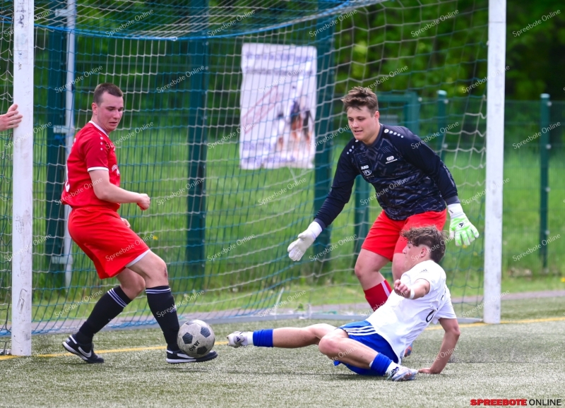 VfB-II-Pneumant-II-033