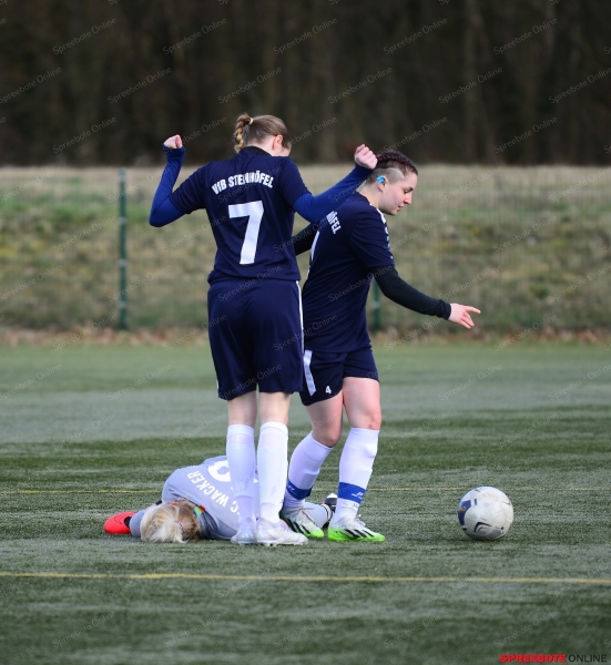 VfB-Steinhofel-Frauen-FC-Wacker-Herzfelde-Pokal-Halbfinale-034