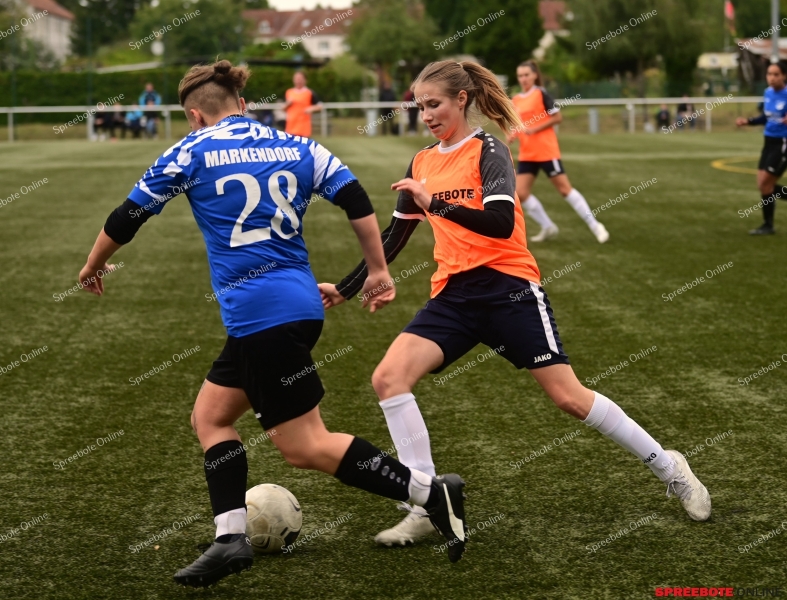 VfB-Steinhofel-Frauen-SV-Blau-Weiss-Markendorf-017
