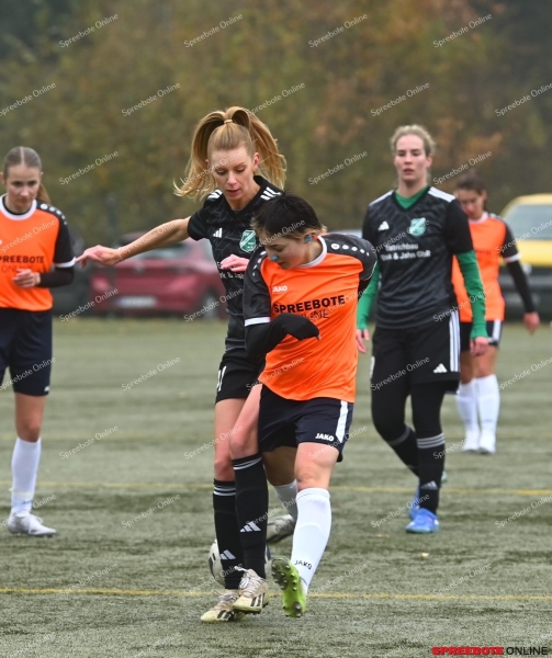 VfB-Steinhofel-Frauen-SV-GW-Letschin-017
