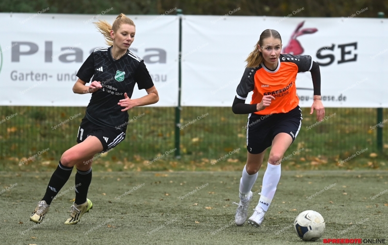 VfB-Steinhofel-Frauen-SV-GW-Letschin-020